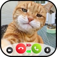 Cat call you - fake video call from Cute Cat : Gift for kids ( NO ADS ❌)
