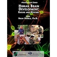 Human Brain Development: Nature and Nurture