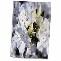 3dRose Cluster of White Azaleas with Blur Effect - Towels (twl-182249-1)