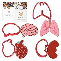 Anatomical Body Parts Cookie Cutter 4 Pc Set – Kidney, Heart, Lungs, Brain Plastic Cookie Cutters, Made in USA