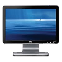 HP W1707 17-inch LCD Monitor