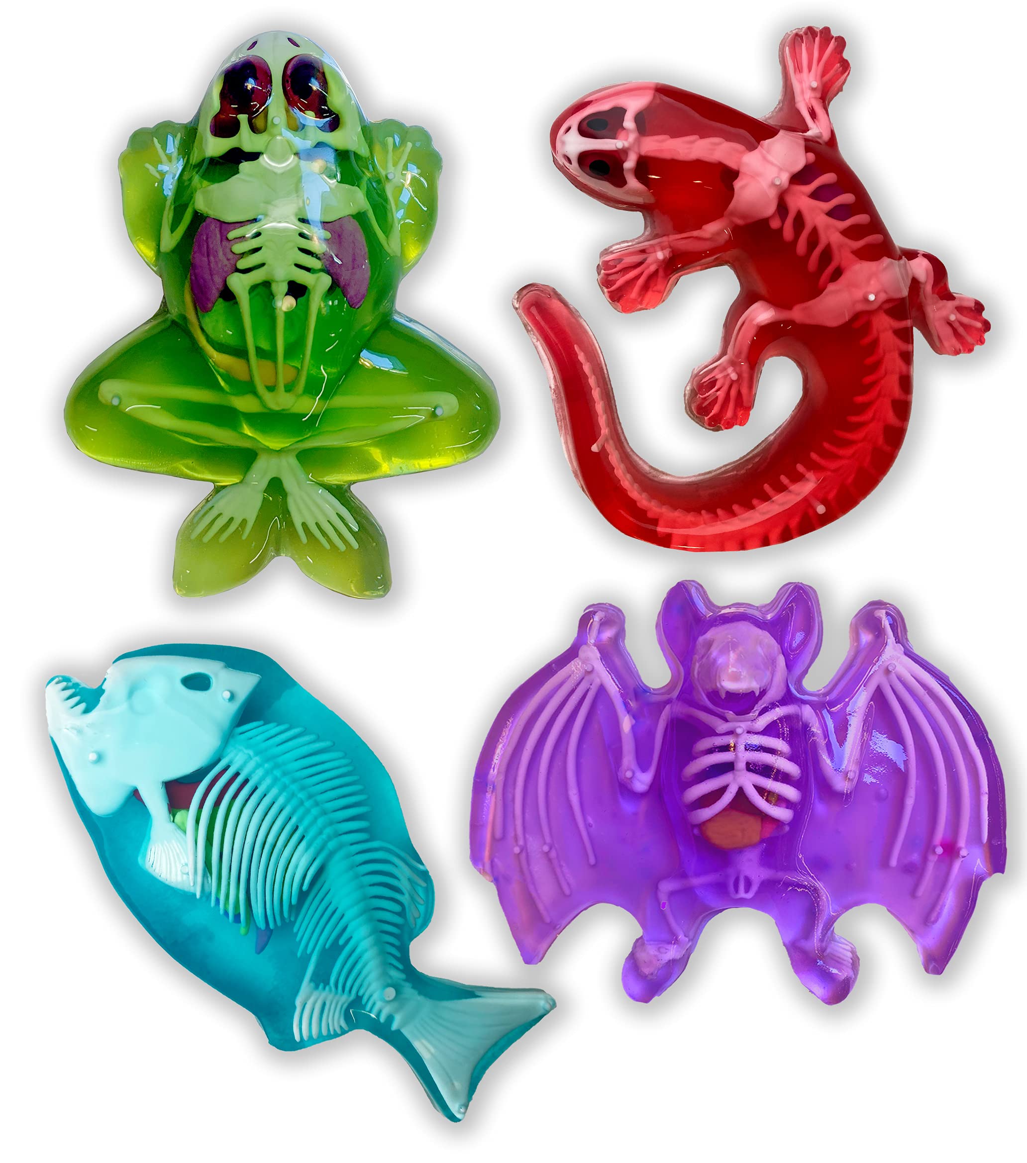 Dissect-It Simulated Synthetic Lab Dissection Toy, STEM Projects for Kids Ages 6+, Animal Science, Biology, Anatomy Home Learning Kits - Complete Set of 4 (Frog, Salamander, Piranha, & Bat)