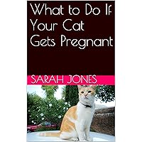 What to Do If Your Cat Gets Pregnant