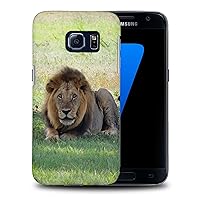 Majestic African Lion Animal #5 Phone CASE Cover for Samsung Galaxy S7