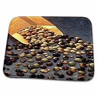 3dRose TDSwhite – Farm and Food - Food Assorted Soybean Seeds - Dish Drying Mats (ddm-285119-1)
