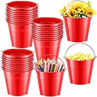 Rtteri 24 Pcs Metal Bucket, Small Metal Bucket, Party Favor Buckets with Handle, 6 x 5 Inch Ice Bucket for Kids, Flower Pot Plant Basket, Mini Toy Containers for Crafts Candy (Red)