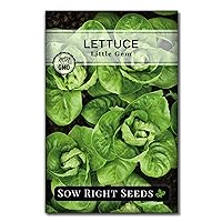 Sow Right Seeds - Little Gem Lettuce Seeds for Planting - Non-GMO Heirloom Packet with Instructions to Plant a Home Vegetable Garden - Outdoors or Indoors Hydroponics - Miniature Romaine Variety (1)