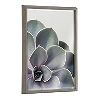 Blake Succulent 5 Framed Printed Glass Wall Art by Emiko and Mark Franzen of F2Images, 18x24 Gray, Decorative Plant Art for Wall