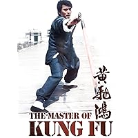 The Master Of Kung Fu