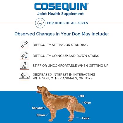 Nutramax Cosequin Maximum Strength Joint Health Supplement for Dogs - With Glucosamine, Chondroitin, MSM, and Hyaluronic Acid, 75 Chewable Tablets (Pack of 1)