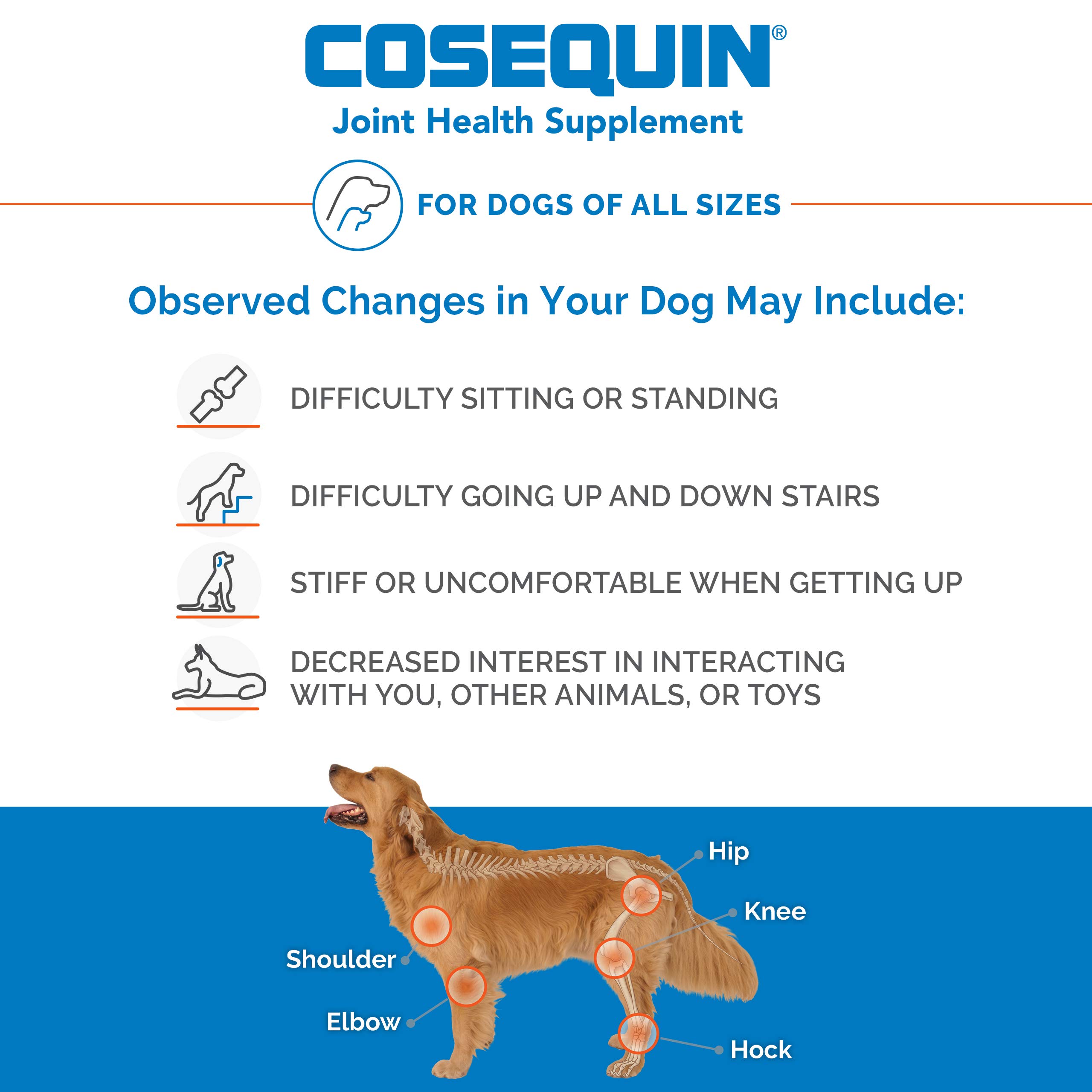 Nutramax Cosequin Maximum Strength Joint Health Supplement for Dogs - With Glucosamine, Chondroitin, MSM, and Hyaluronic Acid, 75 Chewable Tablets (Pack of 1)