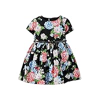 Carter's Baby Girls' Multicolor Saten Floral-Print Dress (3 Months)