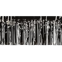 2-Ply FR Metallic Fringe Drape (black) Party Accessory (1 count)