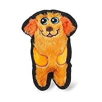 Durablez Tough Plush Squeaky Dog Toy, Dog, Orange, XS