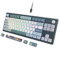 MKey TKL Mechanical Gaming Keyboard: Customizable RGB LED, Premium MDA Profile PBT Keycap, Hot-Swappable Gateron G Yellow Pro 2.0 Pre-lubed Switches, Osaka Castle Theme, Freedom (MK87FY)