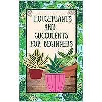 The easiest houseplants and succulents for beginners and how to take care of them