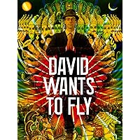 David Wants To Fly