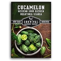 Cucamelon Seeds for Planting - 1 Packet with Instructions to Plant and Grow Sour Mini Watermelon Cucumbers in Your Home Vegetable Garden - Organic, Non-GMO Heirloom Variety - Survival Garden Seeds
