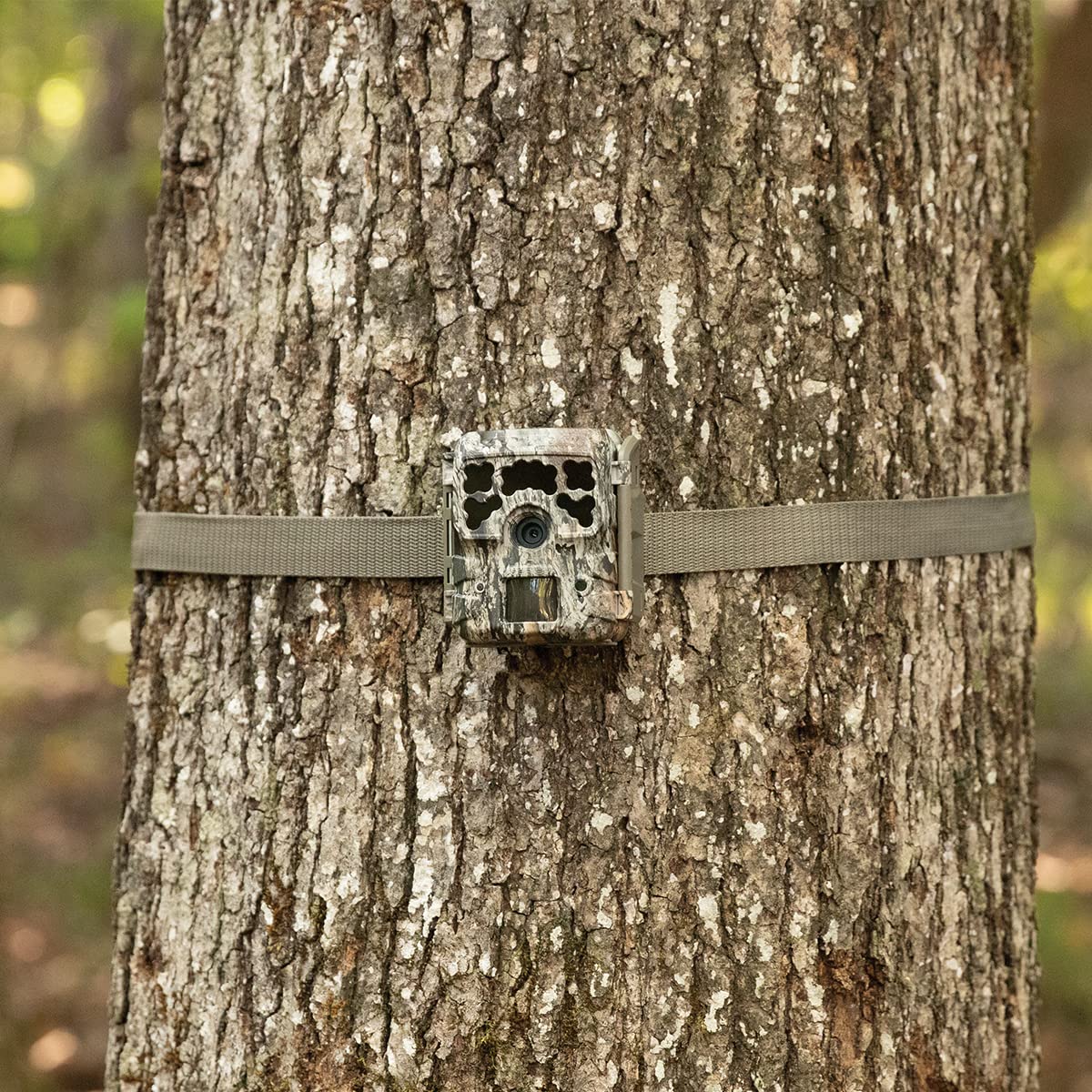 Moultrie Micro-42 Trail Camera Kit,720p