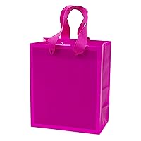 Hallmark Small Gift Bag for Birthdays, Bridal Showers, Baby Showers and More (Hot Pink)