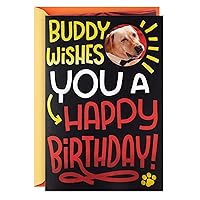 Hallmark Funny Birthday Card with Sound and Motion (Lab Dance) for Spouse, Boyfriend, Girlfriend