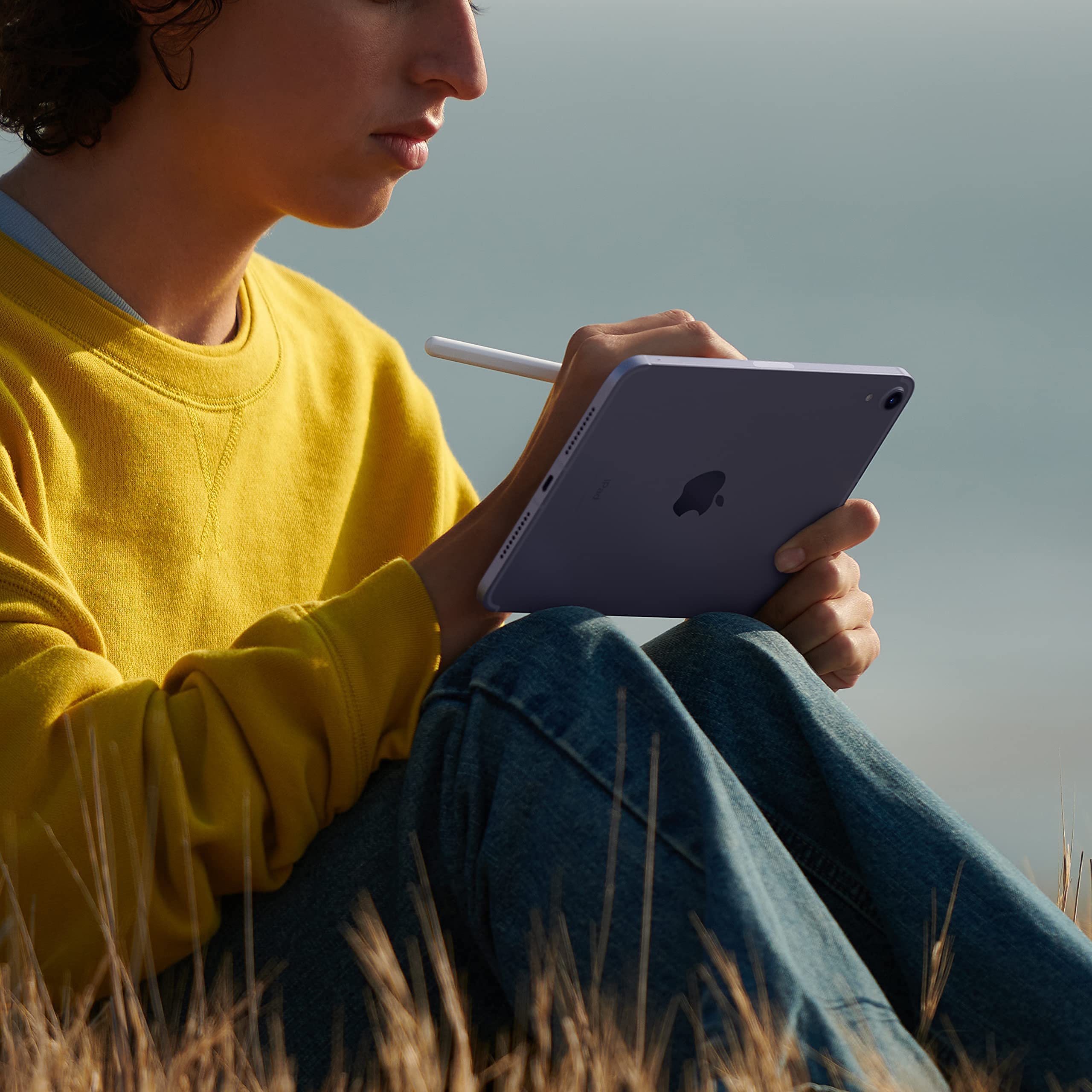2021 Apple iPad Mini 6 (8.3 inch, Wi-Fi + Cellular, 256GB) Purple (Renewed)