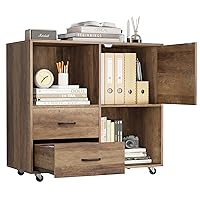File Cabinet, Wood Filing Cabinet with 2 Drawers, Printer Stand Lateral Mobile with Open Shelves and Door for Home, Office, Small Spaces Rustic Brown