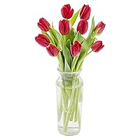 Blooms2Door PRIME NEXT DAY DELIVERY - Bouquet of 10 Red Tulips with Vase .Gift for Birthday, Sympathy, Anniversary, Get Well, Thank You, Valentine, Mother’s Day Fresh Flowers