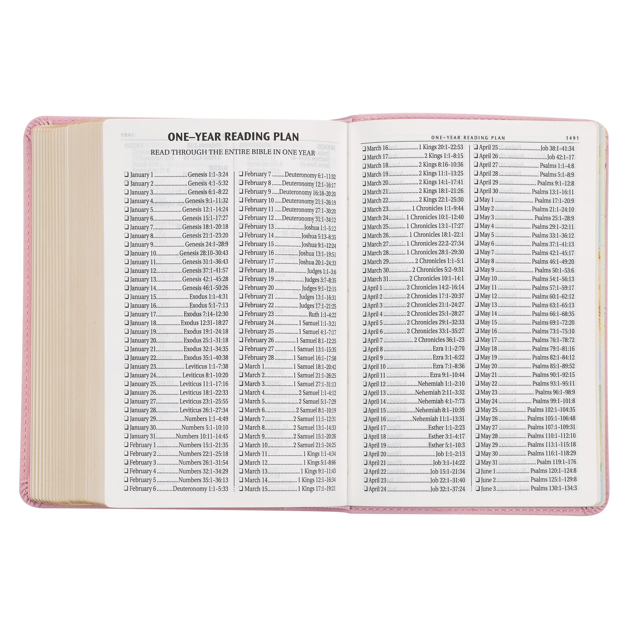 KJV Holy Bible, Compact Large Print Faux Leather Red Letter Edition - Ribbon Marker, King James Version, Pink