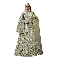 Trendy Stitched Net Party Stone Work Gown Indian Woman 6101