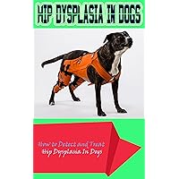 HIP Dysplasia in Dogs: How to Detect and Treat Hip Dysplasia In Dogs