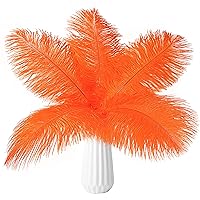THARAHT Orange Ostrich Feathers 24pcs Natural Bulk 10-12Inch 25cm-30cm for Crafts Wedding Party Centerpieces Halloween and Home Decoration Feathers