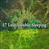 57 Less Trouble Sleeping 57 Less Trouble Sleeping MP3 Music