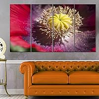 Colorful Opium Poppy Photo-Flowers Glossy Metal Wall Art, 48x28-4 Equal Panels, Red