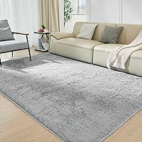 Rugs for Living Room 6x9 Light Grey, Large Big Fluffy Shag Fuzzy Plush Soft Carpets for Bedroom, Kids Home Decor Aesthetic, Nursery, Modern Shaggy Area Rug for Classroom Office, Anti-Skid