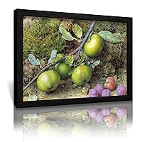 John Sherrin,Apples And Plums on A Mossy Bank,art Prints Metal Frame Canvas Poster Wall Art Bedroom Office Decor Gifts Wood Black-John Sherrin,Apples And Plums on A Mossy Bank 12x16inch(30x40cm)