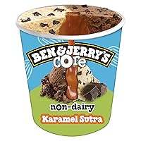 Ben & Jerry's Non-Dairy Karamel Sutra Core Frozen Dessert Certified Vegan Pint 16 oz