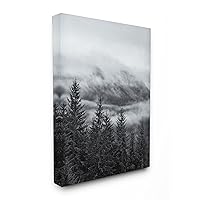 Stupell Home Décor Snowy Mountain Pine Photograph Stretched Canvas Wall Art, 16 x 1.5 x 20, Proudly Made in USA