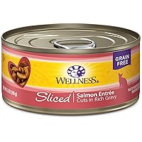 Wellness Natural Pet Food Wellness Complete Health Natural Grain Free Wet Canned Cat Food, Sliced Salmon Entree, 5.5 Ounce (Pack of 24)