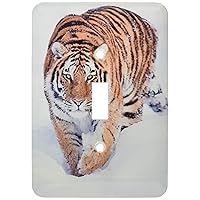 3dRose LLC lsp_13492_1 Tiger in Ice Single Toggle Switch