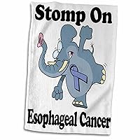 3dRose Elephant Stomp On Esophageal Cancer Awareness Ribbon Cause Design - Towels (twl-114540-1)