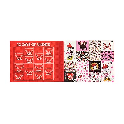 Disney girls Minnie Mouse Exclusive 12-PK Avent Box of Panties Perfect for  Gifting & Potty Training Fun in Sizes 2/3T & 4T