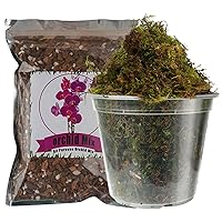 Orchid Potting Mix 1qt and Dried Forest Moss for Plants 5qt