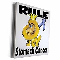 3dRose Rule Stomach Cancer Awareness Ribbon Cause Design - Museum Grade Canvas Wrap (cw_116125_1)