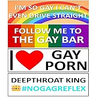 Funny Gay Bumper Stickers - Great for Gags, Jokes, Gifts - Set of 4 | Sticker | 8