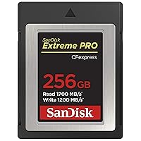 SanDisk 256GB Extreme PRO CFexpress Card Type B - SDCFE-256G-GN4NN