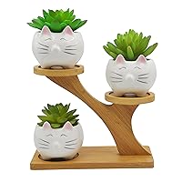 3 Pcs Cat Shaped Ceramic Succulent Cactus Indoor Plant Pots with Bamboo Treetop Stand for Home Garden Office Desktop Decoration - Plant Not Included
