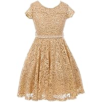 iGirlDress Cap Sleeve Floral Lace Glitter Pearl Holiday Party Flower Girl Dress Size4-14