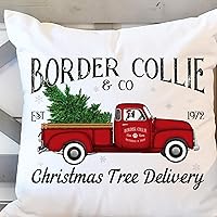 Christmas Throw Pillow Cover, Border Collie Christmas Tree, Border Collie Dog Gift, Red Truck Decor, Border Collie Owner Gift, Square Velvet Decorative Pillow Case 18x18 Inch, BMS054
