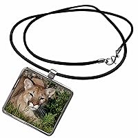 Mountain lion or puma. - Necklace With Pendant (ncl-367033)